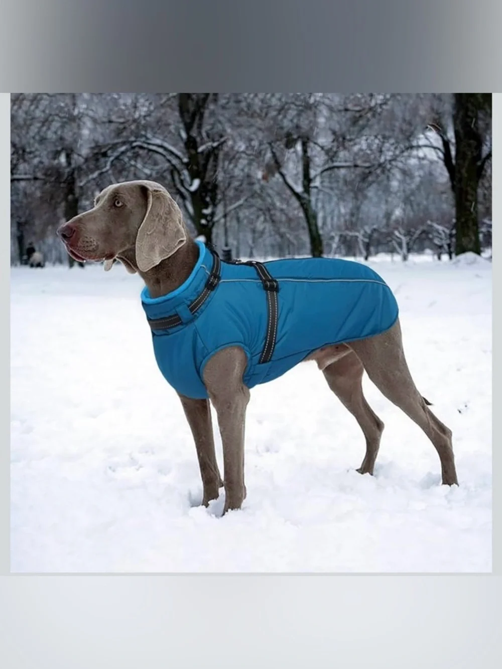 Lelepet Water/Windproof Dog Jacket With Reflective Harness Built In L 967/9